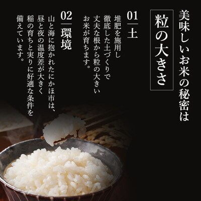 定期便6回 秋田県産 ひとめぼれ 5kg 計30kg 令和7年産[No.5685-2072]