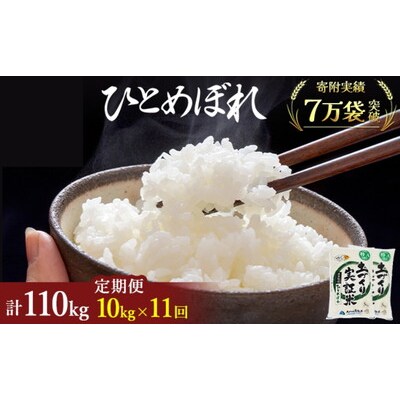 定期便11回 秋田県産 ひとめぼれ 10kg 計110kg 令和7年産[No.5685-2089]