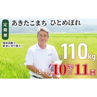 定期便11回 あきたこまち・ひとめぼれ 10kg (各5kg)令和7年産[No.5685-2385]