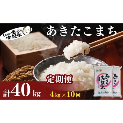 定期便10回 秋田県産 あきたこまち 4kg 計40kg 令和7年産[No.5934-0802]
