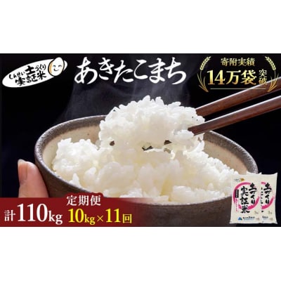 定期便11回 秋田県産 あきたこまち 10kg 計110kg 令和7年産[No.5685-2082]