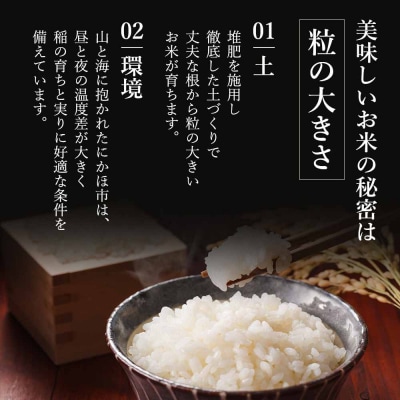 定期便11回 秋田県産 あきたこまち 10kg 計110kg 令和7年産[No.5685-2082]