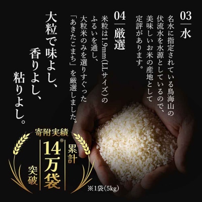定期便11回 秋田県産 あきたこまち 10kg 計110kg 令和7年産[No.5685-2082]