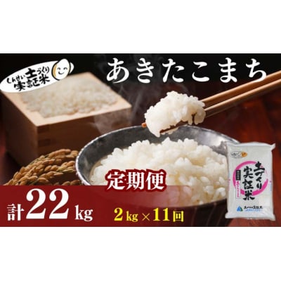 定期便11回 秋田県産 あきたこまち 2kg 計22kg 令和7年産[No.5934-0789]
