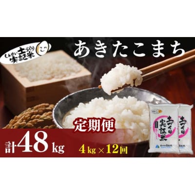 定期便 全12回 秋田県産 あきたこまち 4kg 計48kg 令和7年産[No.5934-0804]