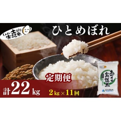 定期便11回 秋田県産 ひとめぼれ 2kg 計22kg 令和7年産[No.5934-0817]