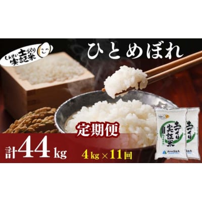 定期便11回 秋田県産 ひとめぼれ 4kg 計44kg 令和7年産[No.5934-0831]