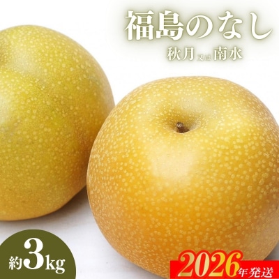 福島のなし　秋月または南水　約3kg【2026年発送　先行受付】No.2185