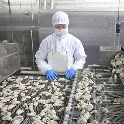 冷凍蒸し牡蠣 500g MSC認証 マルト水産 岡山県邑久町虫明産 [No.5735-0802]