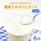 しぼりたて生乳で作った濃厚ミルクジェラート 6個セット NA23