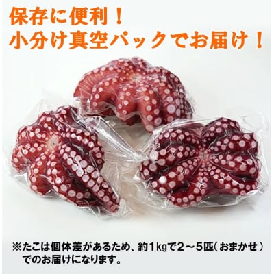 北三陸産 蒸し真タコ丸ごと約1kg (2匹～5匹) たこ刺身 たこ焼き