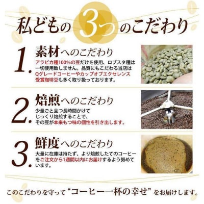 加藤珈琲店 しゃちブレンド 2種飲み比べ コーヒー 粉 (中挽き) 2kg (500g×4袋)