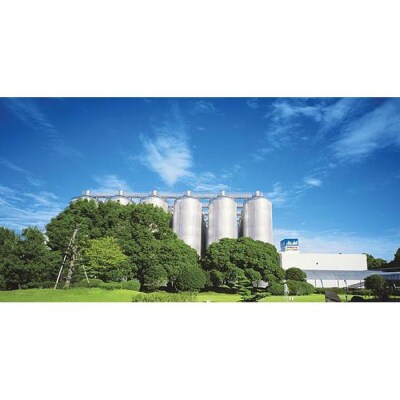 ビール アサヒ クリアアサヒ 500ml 24本