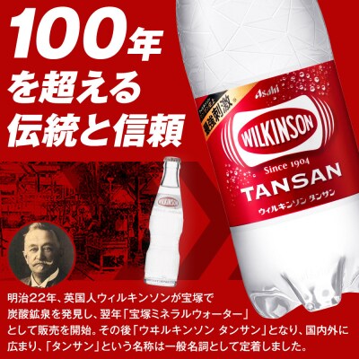 アサヒウィルキンソン タンサンPET500ml　24本入　2ケース