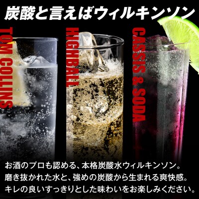 アサヒウィルキンソン タンサンPET500ml　24本入　2ケース