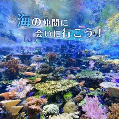 名古屋港水族館入館券(大人入館券2枚)