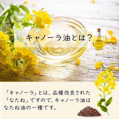 日清 キャノーラ油 8kg (1,000g×8本) 