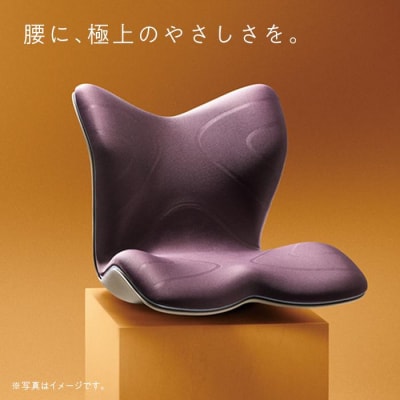 Style PREMIUM【ブラック】 | スタイルプレミアム 骨盤 椅子 座椅子 姿勢サポート