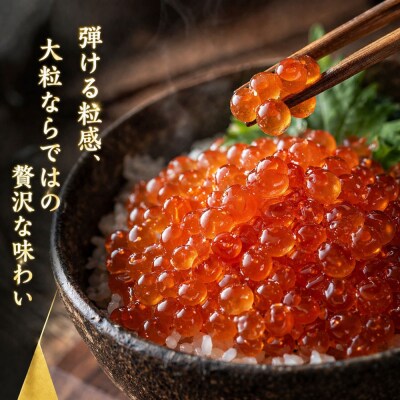 いくら 醤油漬け 500g(250g×2P) 北海道 秋鮭卵 冷凍 尾張まるはち