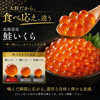 いくら 醤油漬け 500g(250g×2P) 北海道 秋鮭卵 冷凍 尾張まるはち