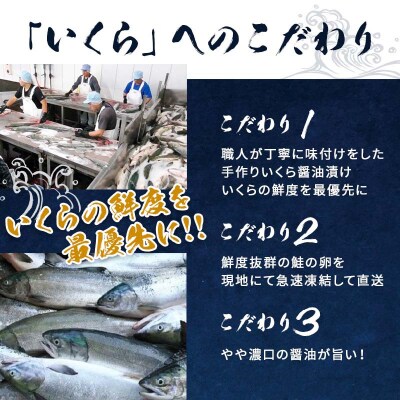 いくら 醤油漬け(100g×1P) 北海道 秋鮭卵 冷凍 尾張まるはち