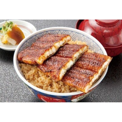 国産特大うなぎ蒲焼き(うな丼用2セット)
