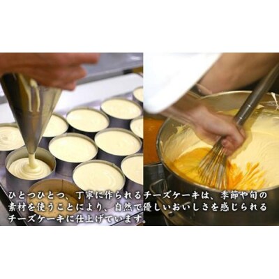 【クリーミーな舌触り】チーズケーキ ピュア レギュラー
