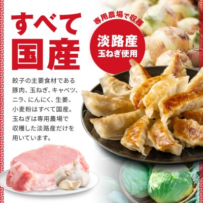 50年餃子　元祖肉餃子&野菜増し肉餃子 各種40個入り