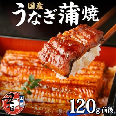 名古屋 うなぎのしら河 国産 鰻 蒲焼き 120g前後×1尾 タレ 山椒付