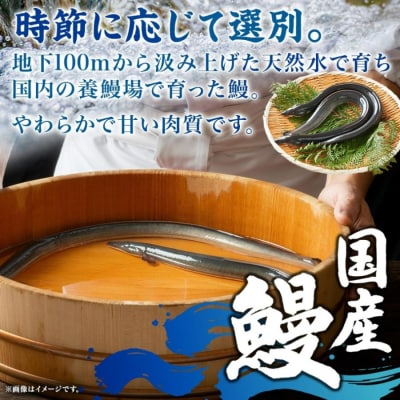 名古屋 うなぎのしら河 国産 鰻 蒲焼き 120g前後×1尾 タレ 山椒付