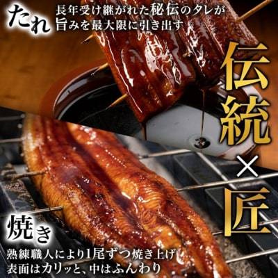 名古屋 うなぎのしら河 国産 鰻 蒲焼き 120g前後×1尾 タレ 山椒付