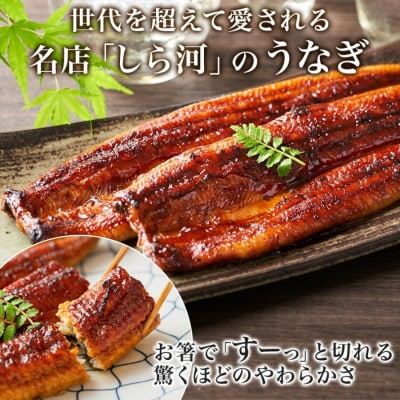 名古屋 うなぎのしら河 国産 鰻 蒲焼き 120g前後×1尾 タレ 山椒付