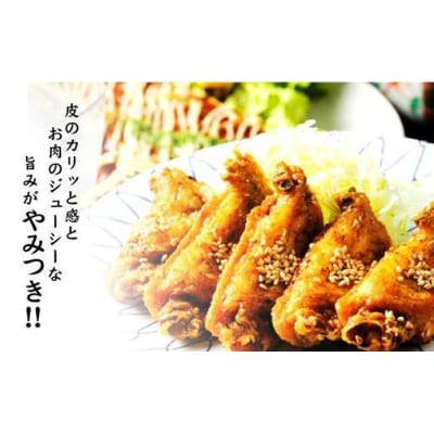 【本場】手羽先唐揚げ　普通　真空冷凍　1袋5本入り×12袋 おつまみ つばさや