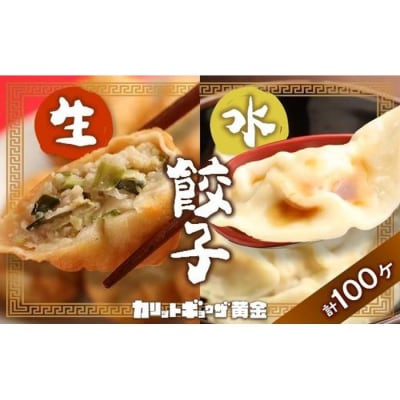 カリットギョウザやまもりセット2種(100ケ)餃子60 水餃子40