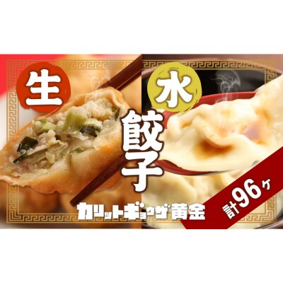 カリットギョウザ やまもりセット2種(96ケ)餃子64 水餃子32