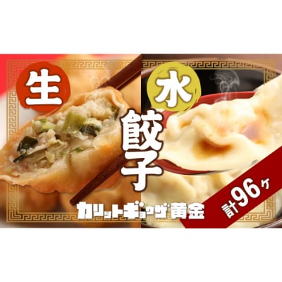 カリットギョウザ やまもりセット2種(96ケ)餃子64 水餃子32