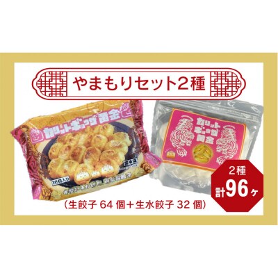 カリットギョウザ やまもりセット2種(96ケ)餃子64 水餃子32