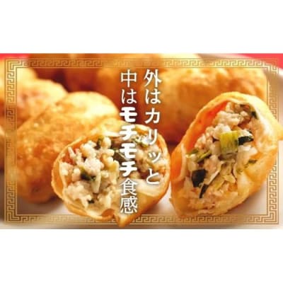 カリットギョウザやまもりセット2種(100ケ)餃子60 水餃子40