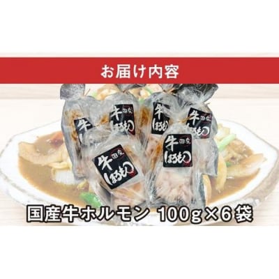 【ビールがすすむ】牛ホルモン(味噌だれ)6パック お肉の旨み弾力  おつまみ
