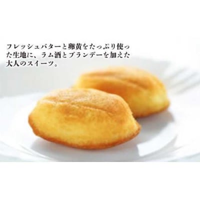 【大人のマドレーヌ】ナビエール14個入