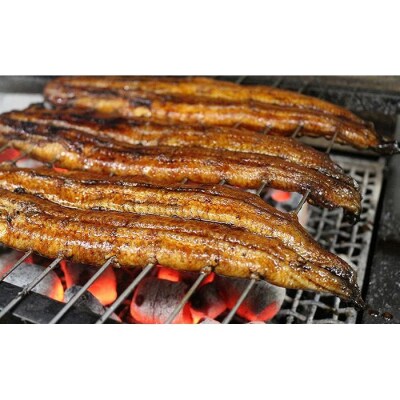 【全4回定期便】国産うなぎ蒲焼 約180g×3尾【炭火・職人手焼き「和食竜むら」】