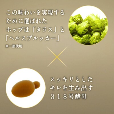 ビール　アサヒ ザ・ビタリスト 500ml 24本