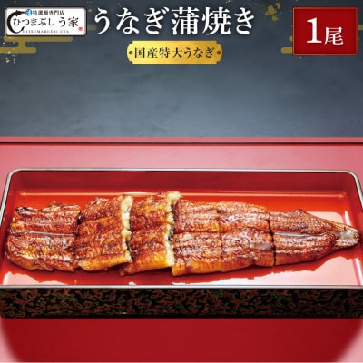 国産特大うなぎ蒲焼き