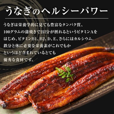国産特大うなぎ蒲焼き