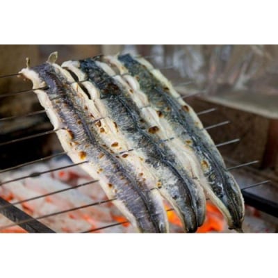 国産特大うなぎ蒲焼き