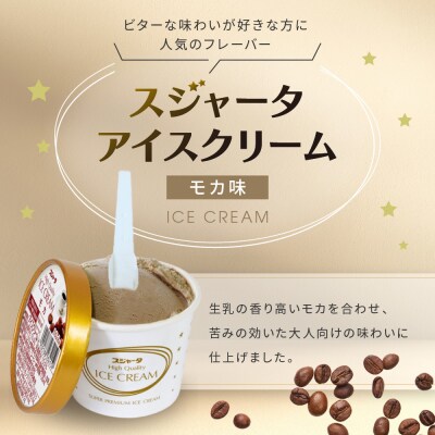 アイス モカ 11個 シンカンセンスゴイカタイアイス