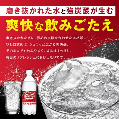 【定期便6回】アサヒ　炭酸水　ウィルキンソンタンサン　500ml ペットボトル　1ケース×6ヶ月