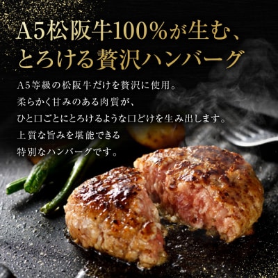 松阪牛特選ハンバーグ8個セット