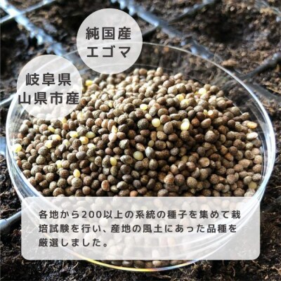 タネから開発した国産エゴマ油47g×4本　毎日のオメガ3脂肪酸摂取に