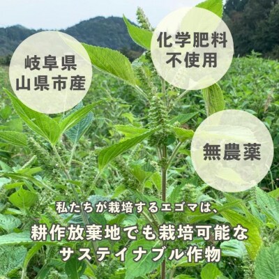 タネから開発した国産エゴマ油47g×4本　毎日のオメガ3脂肪酸摂取に